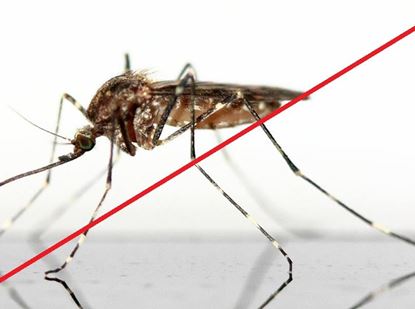 2. larvicidni tretman suzbijanja komaraca