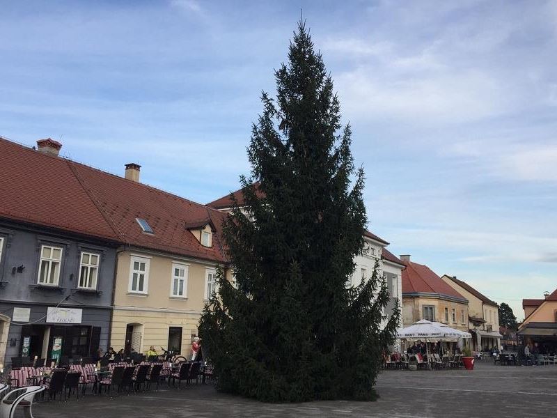 Postavljen je bor na Trgu kralja Tomislava