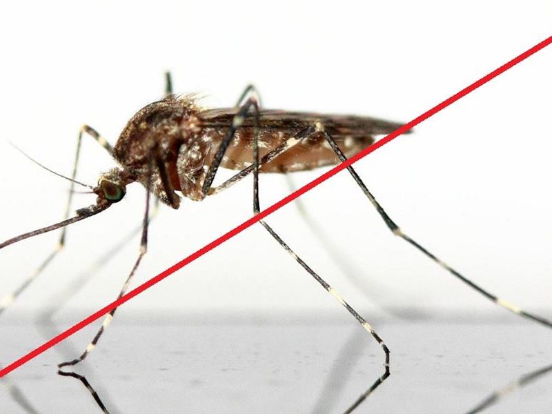 1. adulticidni tretman suzbijanja komaraca