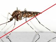8. larvicidni tretman suzbijanja komaraca